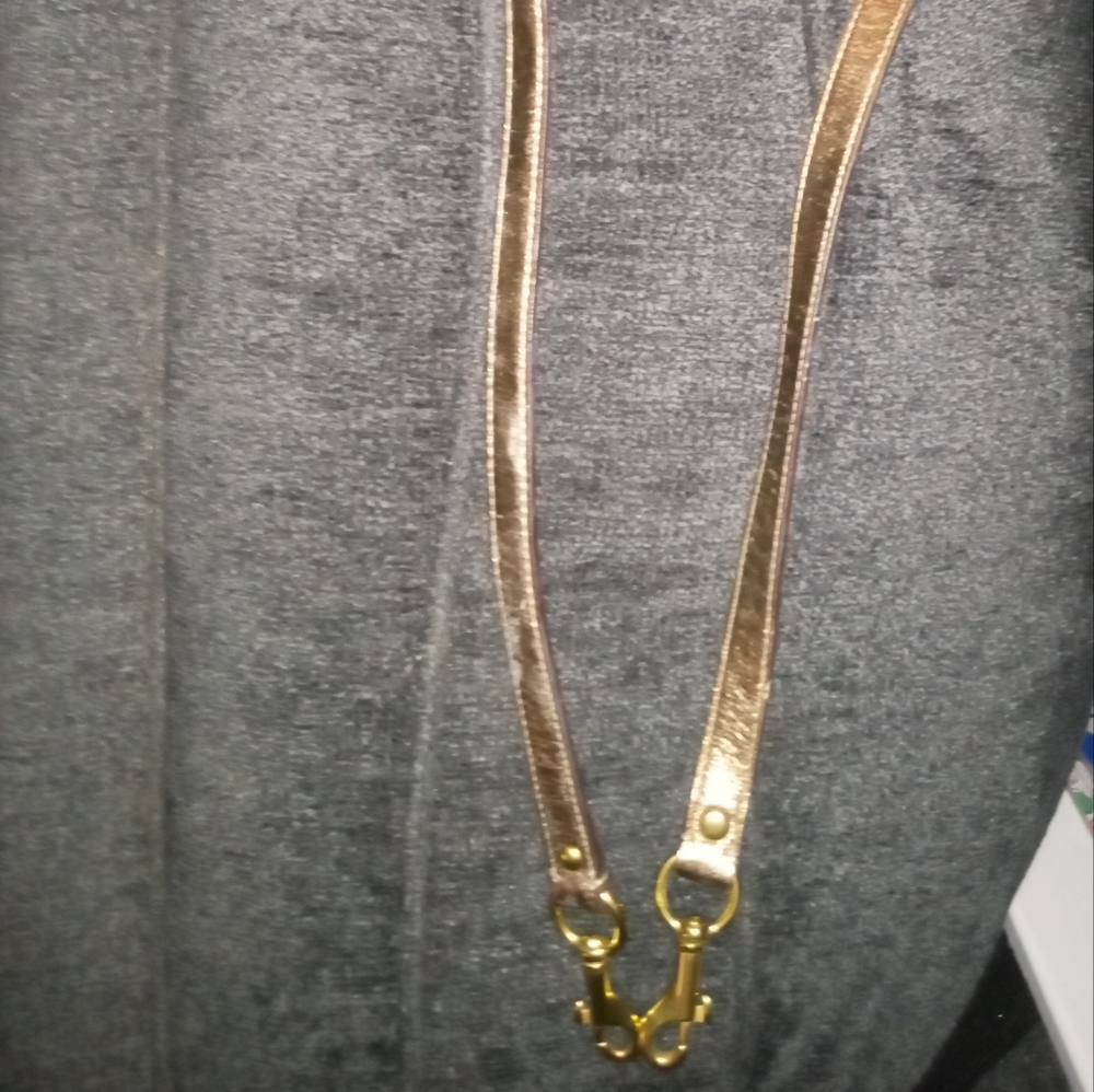 Coach Gold and Brown 43" Strap